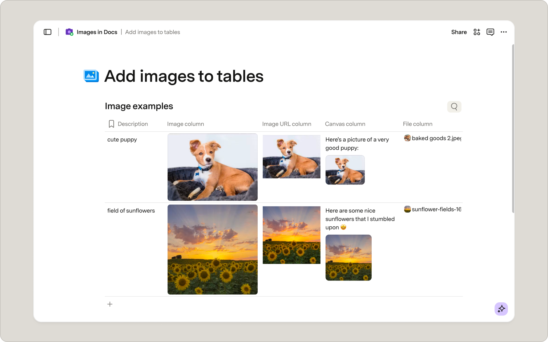 table with various image columns.png